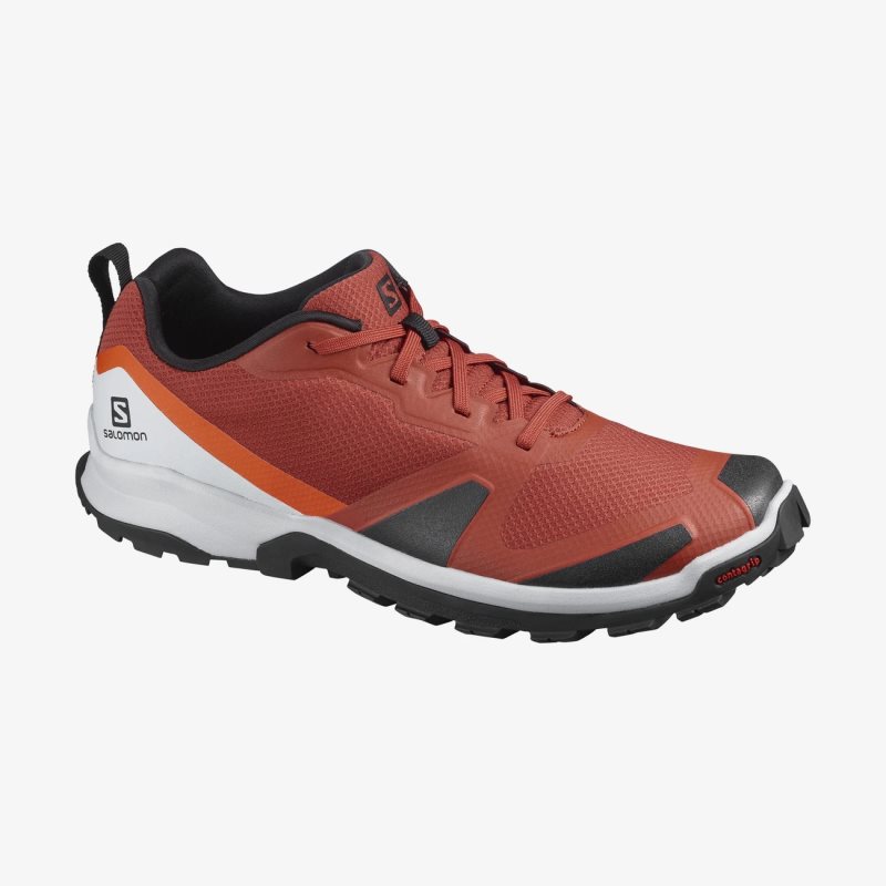 Salomon en soldes online